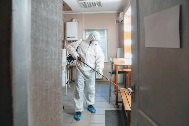 Best HVAC Mold Inspection and Cleaning  in Farmington, NM