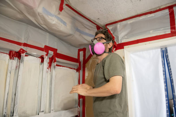Best Water Damage & Mold Remediation  in Farmington, NM