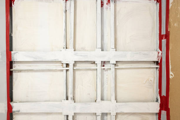 Best Mold Remediation for Healthcare Facilities  in Farmington, NM
