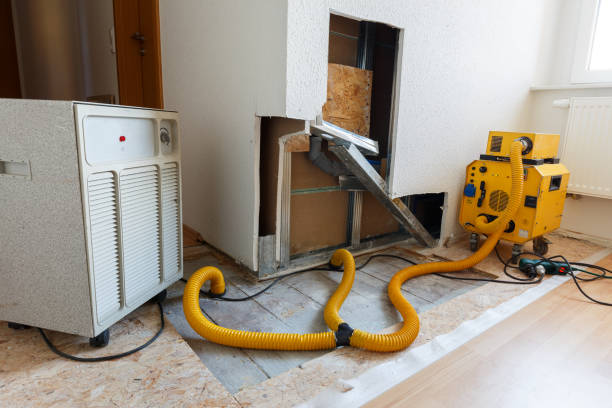 Best Emergency Mold Remediation  in Farmington, NM