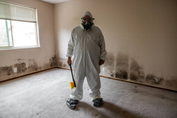 Best Airborne Mold Testing  in Farmington, NM